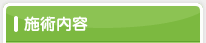 施術内容
